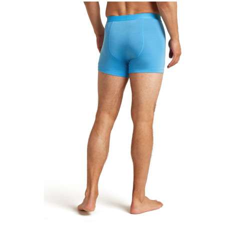 Muške bokserice Icebreaker M Mer 125 Cool-Lite Anatomica Boxers