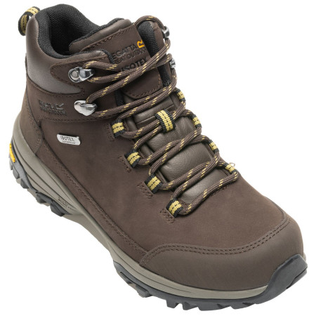 Ženske cipele Regatta Womens Burrell Leather Boot II smeđa Chestnut