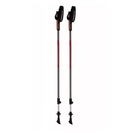Štapovi za nordijsko hodanje Blizzard Alu Performance nordic walking poles ružičasta