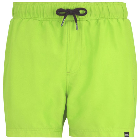 Muški kupaći Regatta Mawson Swim Shorts III