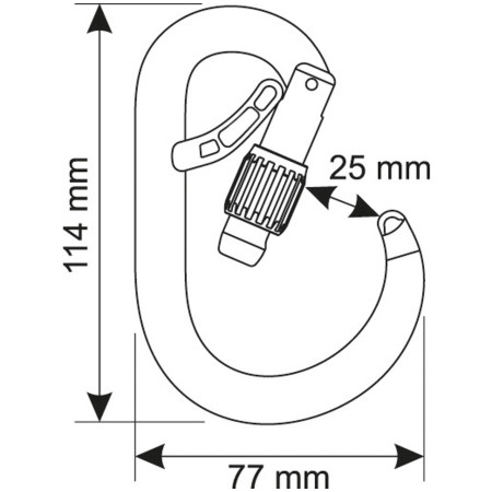 Karabiner Camp Core Belay Lock