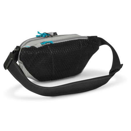 Torbice oko struka Pacsafe ECO waist pack