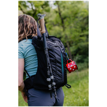 Ruksak Zulu Flaker 20 L