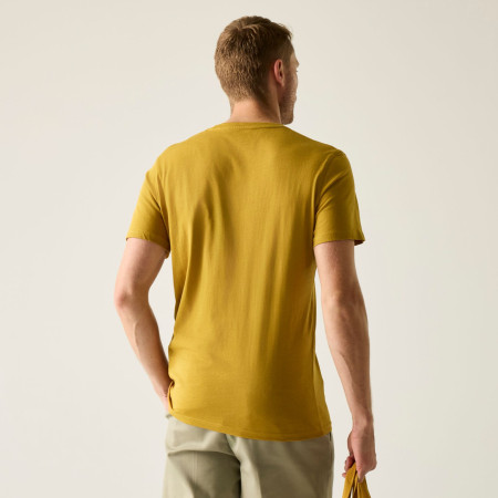 Muška majica Regatta Breezed