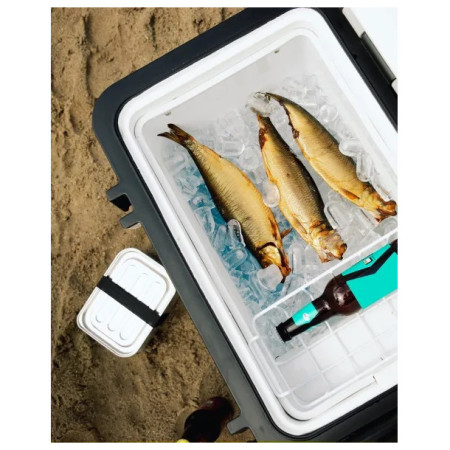 Kompresorski hladnjak Mestic Compressor MCCA-42 AC / DC