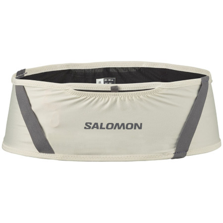 Torbice oko struka Salomon Pulse
