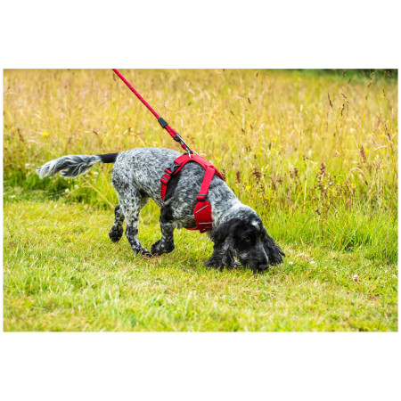 Ogrlica za psa Mountain Paws Dog Harness