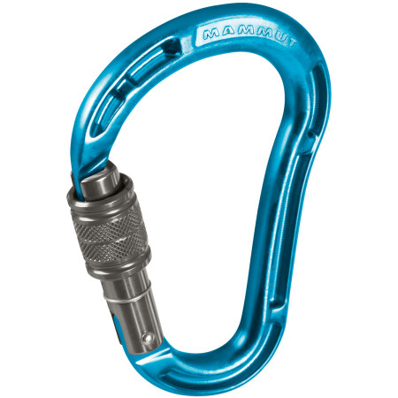Karabiner Mammut Bionic HMS Screw Gate plava aqua