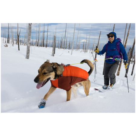 Odjeća za psa Ruffwear Powder Hound Jacket