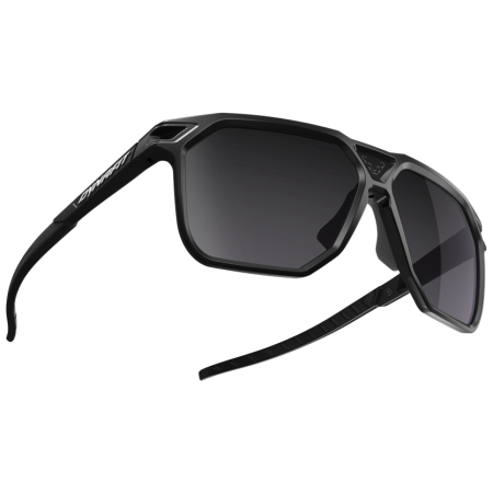 Sunčane naočale Dynafit Traverse Sunglasses