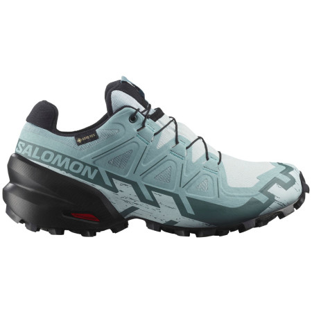 Ženske cipele Salomon Speedcross 6 Gore-Tex