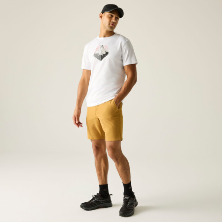 Muška majica Regatta Fingal Graphic T-Shirt