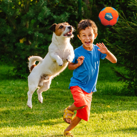 Igračka za psa Nerf Dog X-Weave Soccer Squeak Ball 12,5 cm