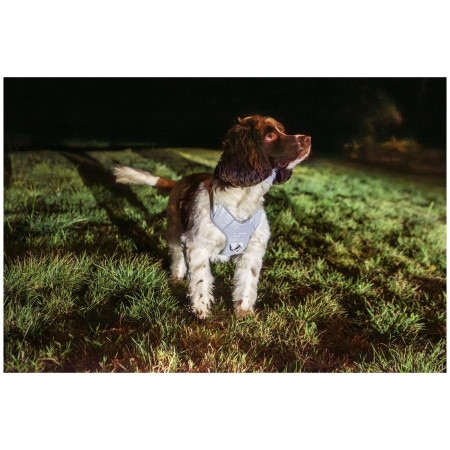 Ogrlica za psa Mountain Paws Reflective Dog Harness