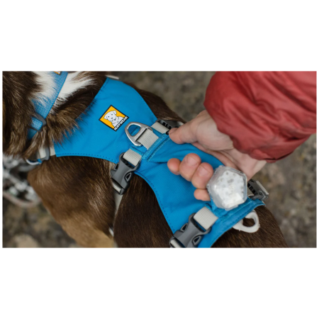Ogrlica za psa Ruffwear Flagline™ Harness