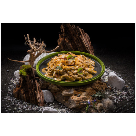Dehidrirana hrana Adventure Menu Proteinski penne od cvrčaka s piletinom u umaku od kreolskog vrhnja