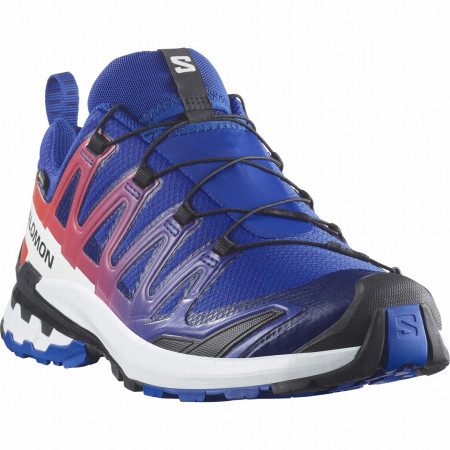 Muška obuća Salomon Xa Pro 3D V9 Gore-Tex Equipe plava / crvena Surf The Web / Fiery Red / White