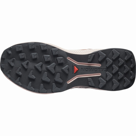 Ženske tenisice za trčanje Salomon Genesis 2 Gtx W
