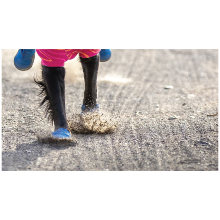 Cipele za psa Ruffwear Hi & Light™ Trail Shoes