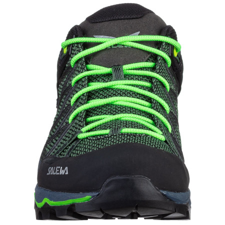 Muške cipele Salewa Ms Mtn Trainer Lite Gtx