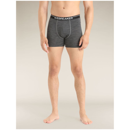 Muške bokserice Icebreaker Mens Anatomica Boxers