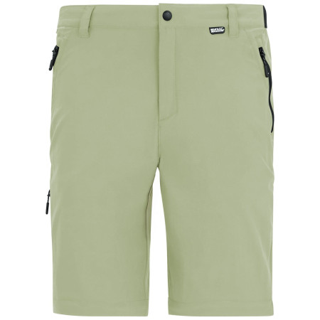 Muške hlače Regatta Anti-Insect Travel Light Z/O Trousers