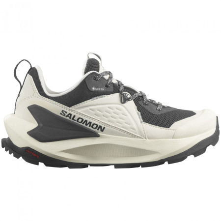 Ženske cipele Salomon Elixir Gore-Tex