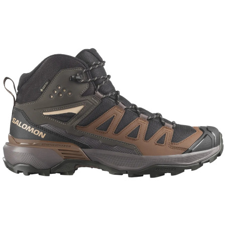 Muške cipele Salomon X Ultra 360 Mid Gore-Tex