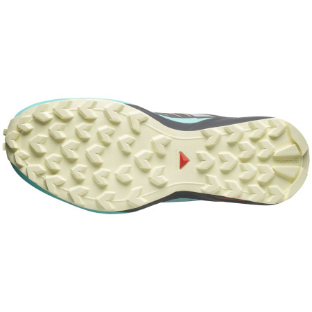 Ženske cipele Salomon Speedcross Peak