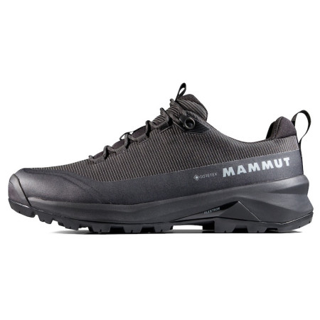 Muške trekking cipele Mammut Ducan III Low GTX Men