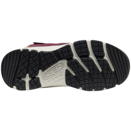 Dječja obuća Keen Skua Mid Wp Youth