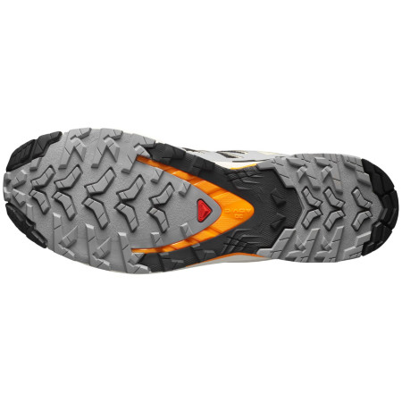Muške cipele Salomon Xa Pro 3D V9