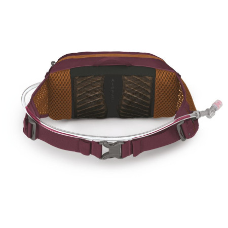 Torbice oko struka Osprey Seral 4