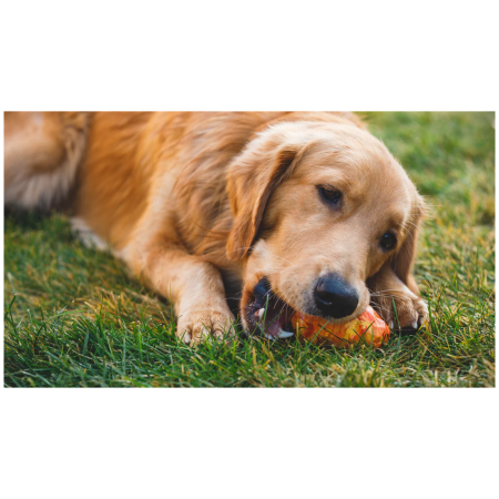 Igračka za psa Ruffwear Gnawt-a-Cone™ Toy