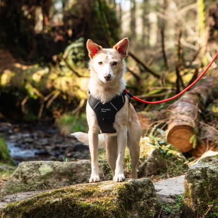 Ogrlica za psa Mountain Paws Dog Harness