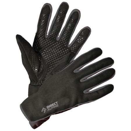 Rukavice Direct Alpine Skisport 1.0