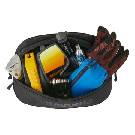 Futrola za dokumente Patagonia Black Hole Cube 3L