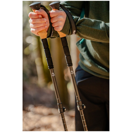 Trekking štapovi Zulu Hiker Carbon Lock