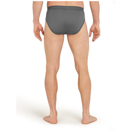 Muško donje rublje Icebreaker Mens Anatomica Briefs