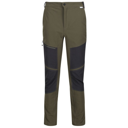 Muške hlače Regatta Questra IV