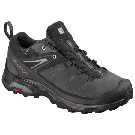 Muške cipele Salomon X Ultra 3 Ltr GTX