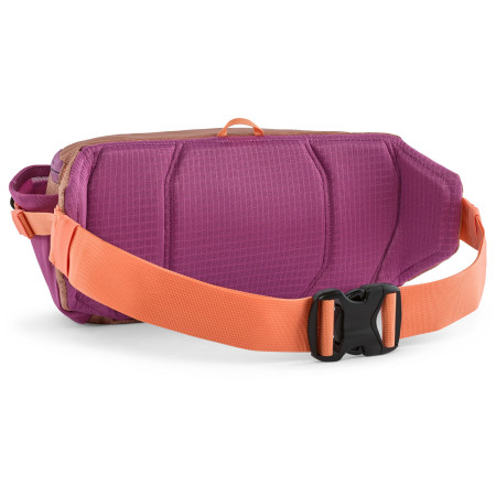 Torbice oko struka Patagonia Black Hole Waist Pack 5L
