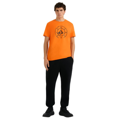 Muška majica 4F Tshirt M3138