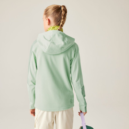 Dječja jakna Dare 2b Thriving IV Stretch Midlayer Celadon