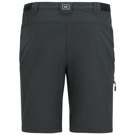 Muške hlače Regatta Anti-Insect Travel Light Z/O Trousers
