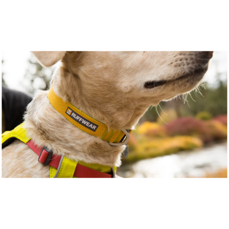 Ogrlica za psa Ruffwear Hi & Light™ Collar