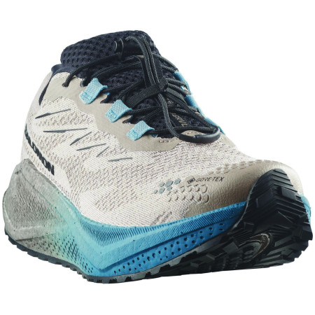 Muške cipele Salomon Aero Blaze 4 Grvl Gtx