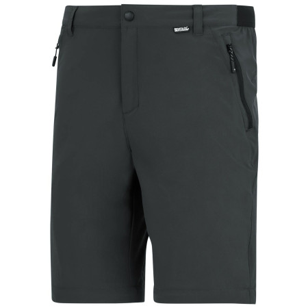 Muške hlače Regatta Anti-Insect Travel Light Z/O Trousers