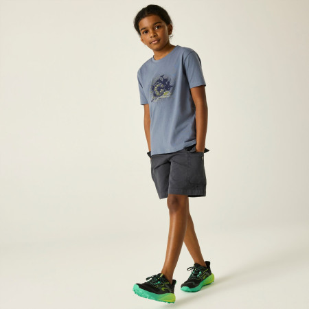 Dječja majica Dare 2b Trailbazer III Tee Mercury
