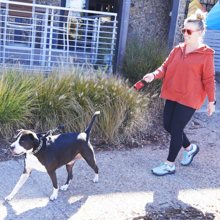 Povodac za psa Nite Ize RadDog™ Retractable Pocket Leash
